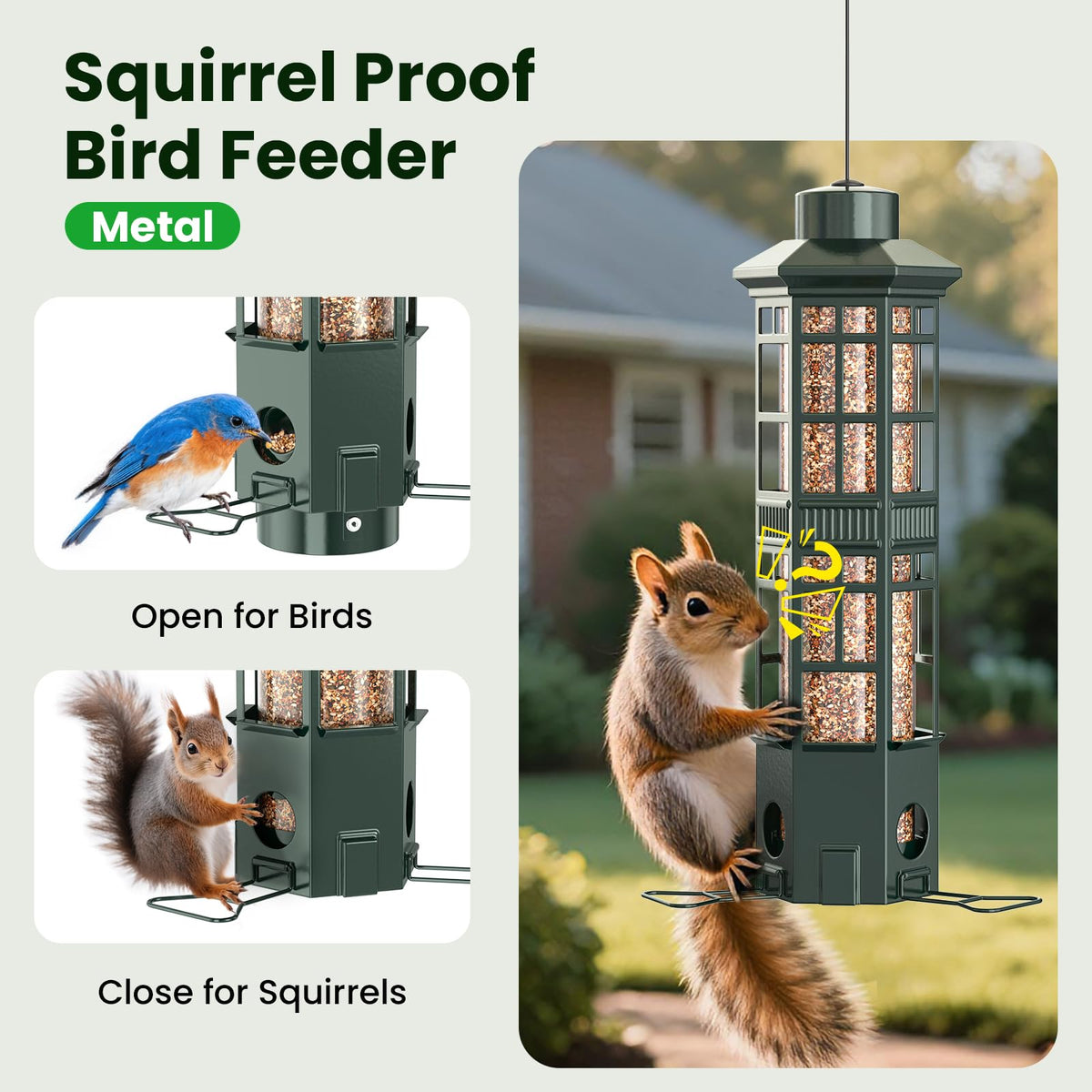 WLNYUGS gravity-spring-closure demonstrates anti-squirrel action during feeding.