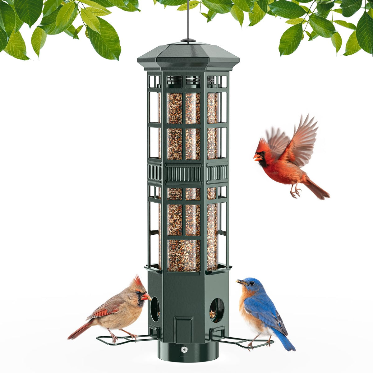 WLNYUGS 3port feeder shows three feeding ports for diverse backyard birds.