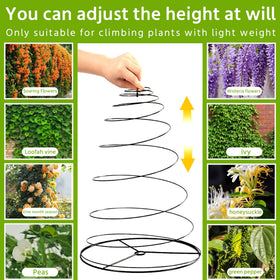WNJ peas climbing with sturdy rings guiding growth and reducing tangling