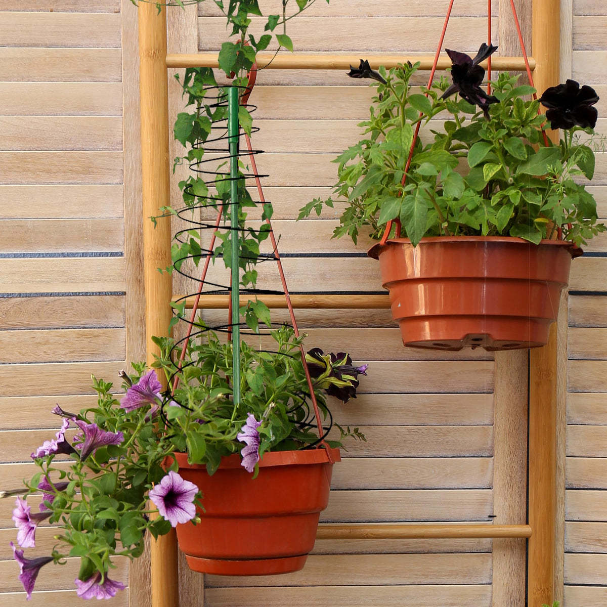 WNJ vertical trellis elevates plants for efficient space and air circulation