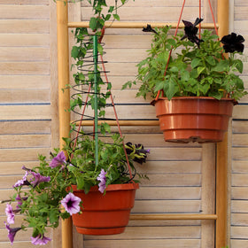 WNJ vertical trellis elevates plants for efficient space and air circulation