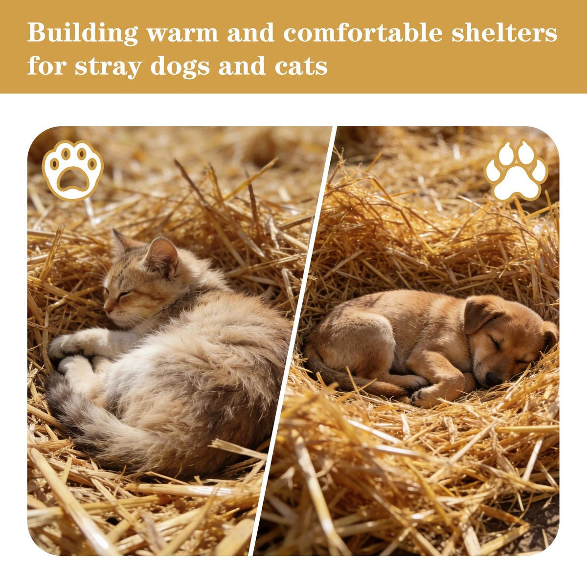 WNJ wheat straw bedding for poultry provides soft comfort in coops