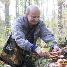 Woanger bags with adjustable belt for hands-free mushroom picking.
