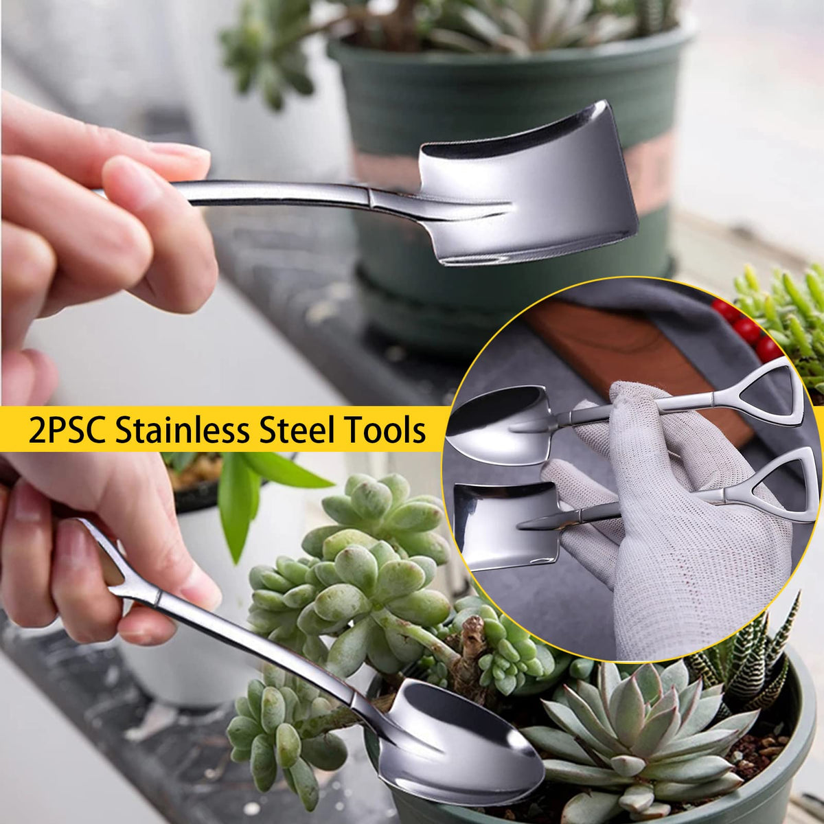 Wobodan succulent care tools including pruning and watering for healthy potting
