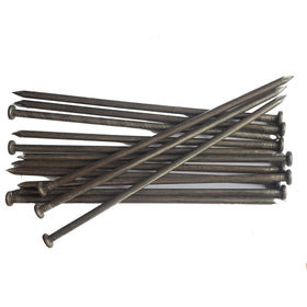 WOCHOLL landscape stake in soil provides secure edging for a neat lawn.