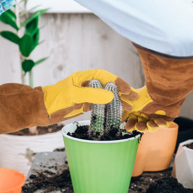WOHEER versatile garden gloves for outdoor gardening activities.