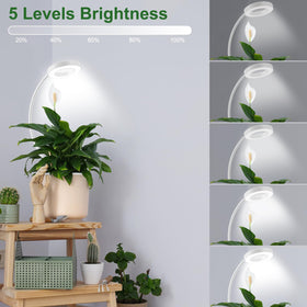 Wolezek 2-in-1 grow lights, clamp-or-soil insert offers versatile installation.