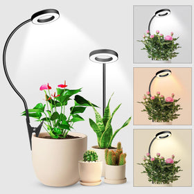 wolezek 2 in 1 grow light clamped to a pot for flexible indoor plant care