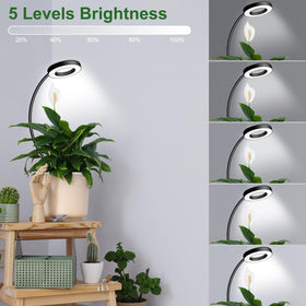 wolezek five brightness levels tailor light intensity for plants