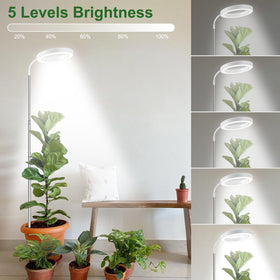 Wolezek Grow Light with 80 LEDs for strong, efficient indoor lighting.