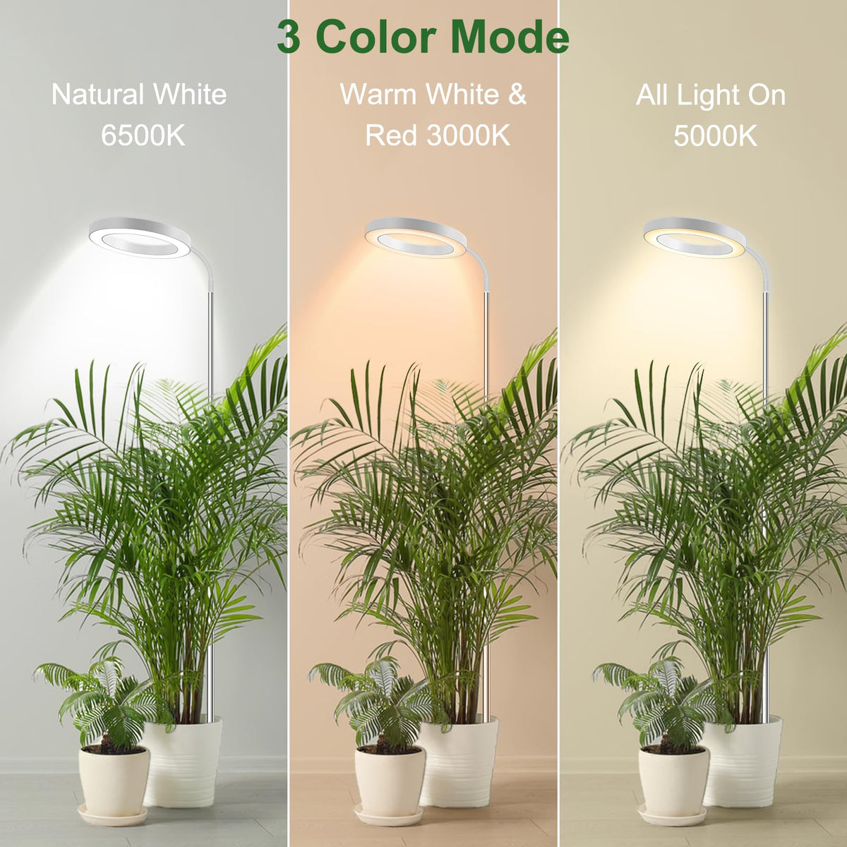 Wolezek Grow Light timer options ensure consistent daily cycles.