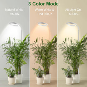 Wolezek Grow Light timer options ensure consistent daily cycles.