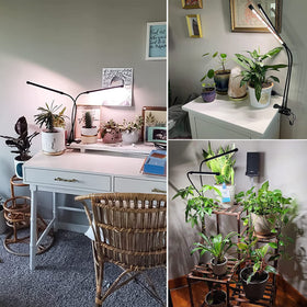 wolezek Grow Lights dimmable brightness lets you tailor intensity.