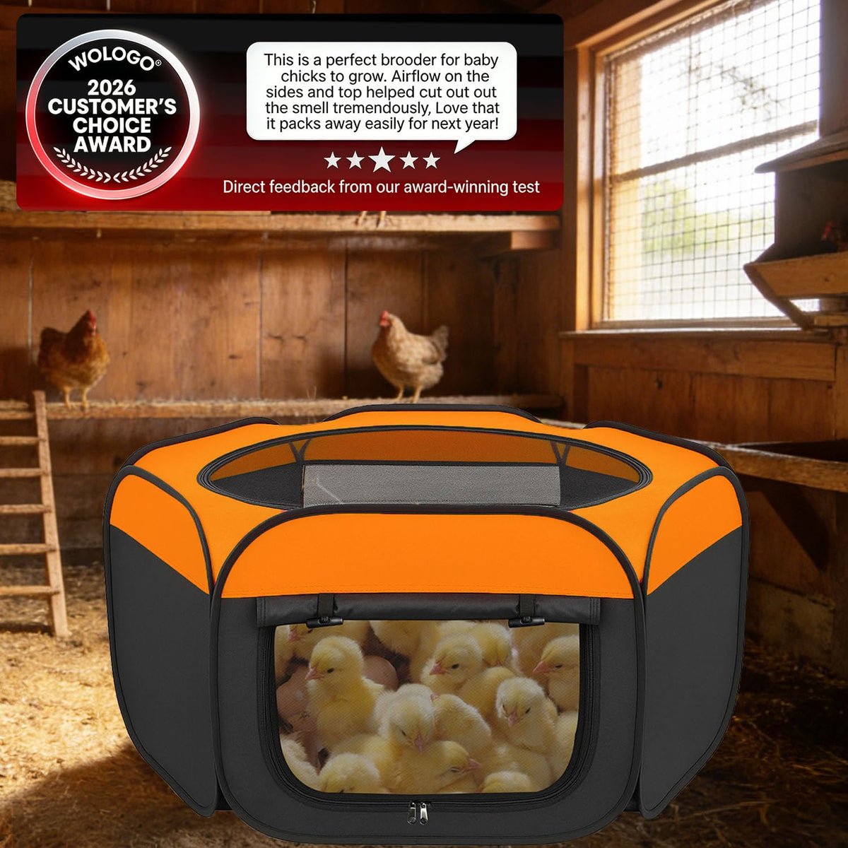 WOLOGO all-in-one chick starter kit arranged for easy setup.