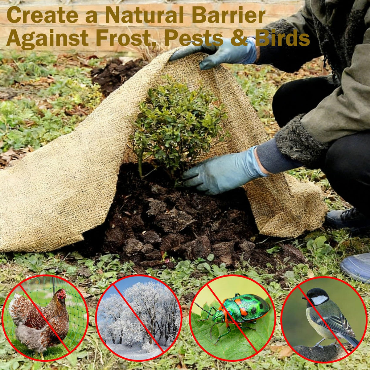 WOLOGO burlap tree wrap protects bark from sun and seasonal stress