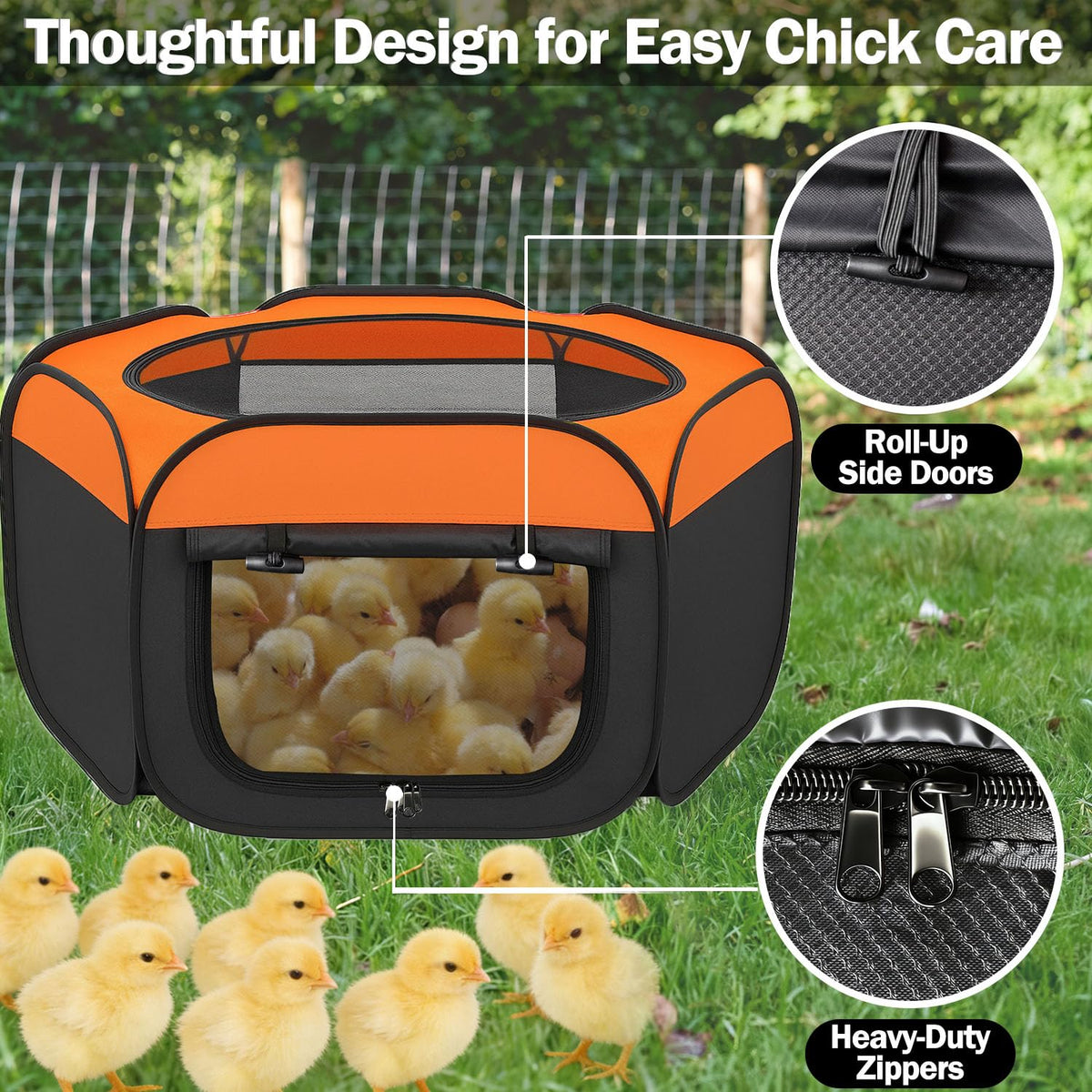 WOLOGO pop-up chick brooder playpen deployed indoors for safe chicks.