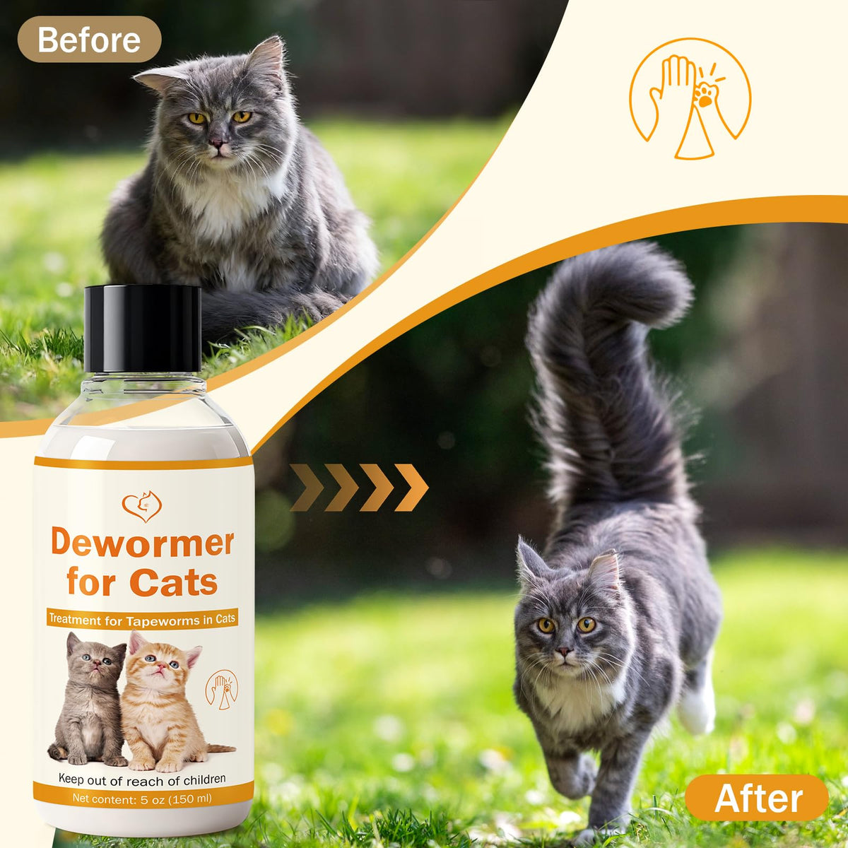 WOMRICH cat dewormer dosing syringe for easy serving