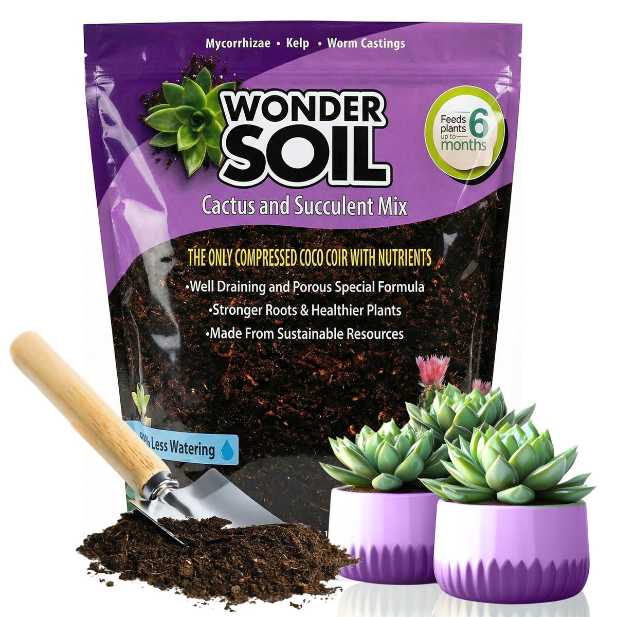 Wonder Soil cactus soil mix bag shown, ready for easy repotting.