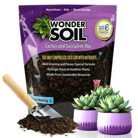 Wonder Soil cactus soil mix bag shown, ready for easy repotting.