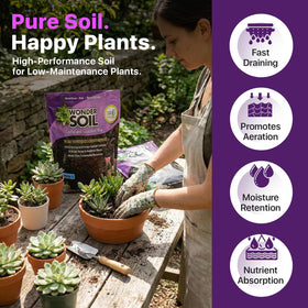 Wonder Soil aids cactus transplantation with excellent drainage.