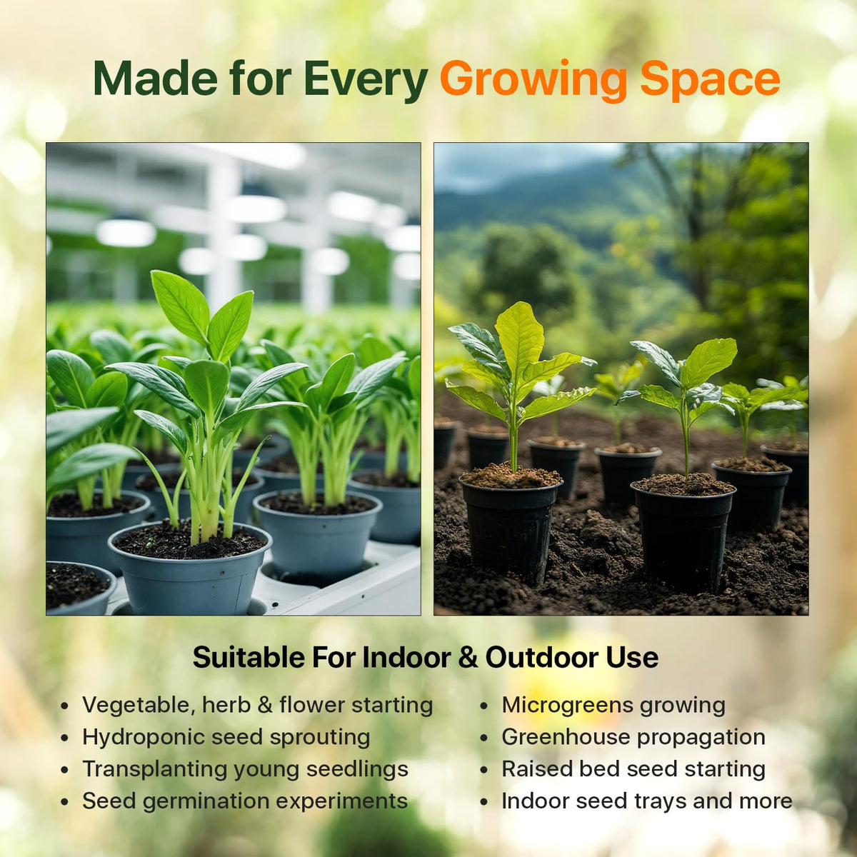 Wonder Soil seed pellets outdoors suitable for beds and containers.
