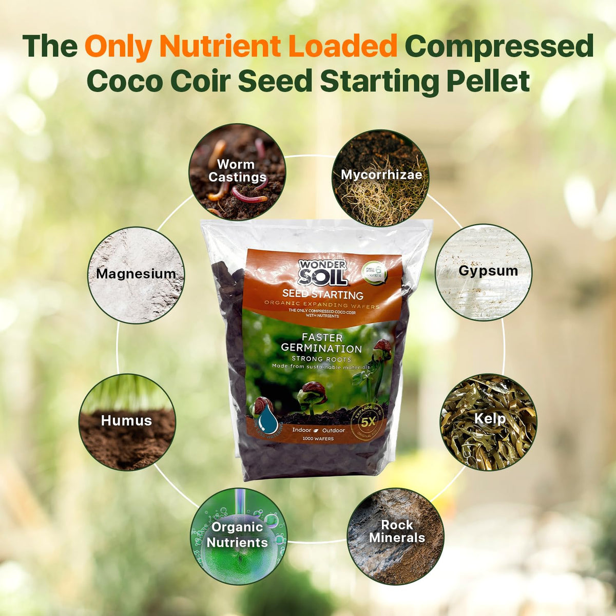 Wonder Soil seed pellets water-activation demonstrates expansion in water, enabling nutrient-rich planting medium.