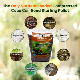 Wonder Soil seed pellets water-activation demonstrates expansion in water, enabling nutrient-rich planting medium.