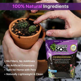 Wonder Soil supports thriving succulents with airy texture.