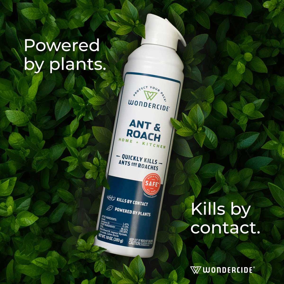 Wondercide spray around doors and windows to control indoor insects