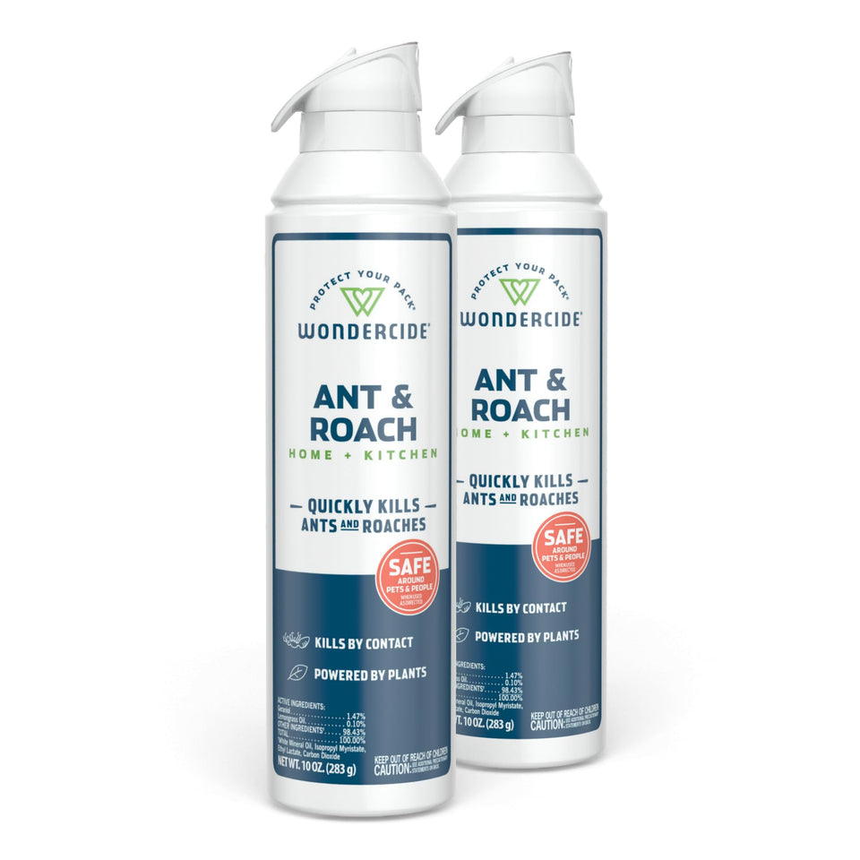 Wondercide ant and roach spray on kitchen surfaces for fast contact kill