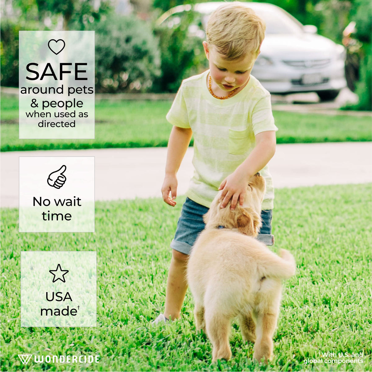 Wondercide cedar-oil formula provides natural pest repellence outdoors.