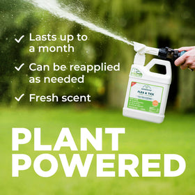Wondercide cedar oil formula highlights plant-powered pest protection.