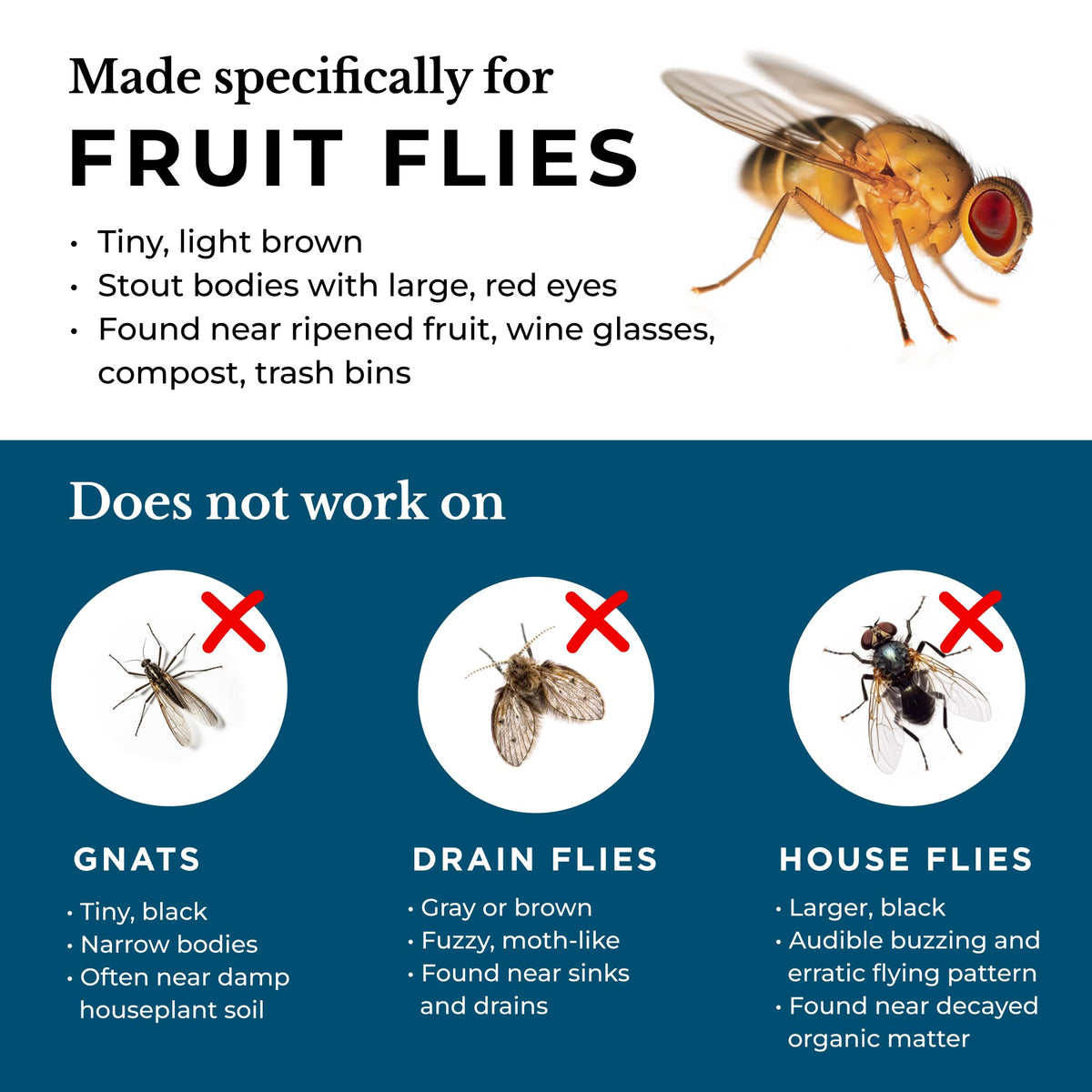 Wondercide fruit fly trap made in the USA for reliable pest control at home.