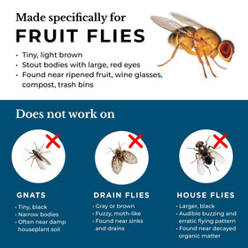 Wondercide fruit fly trap made in the USA for reliable pest control at home.