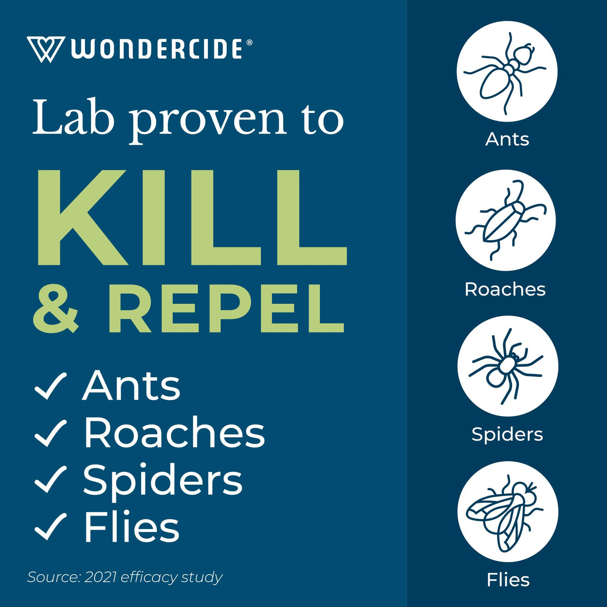 Wondercide spray action in the kitchen protecting surfaces