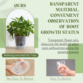 Clear design of Wonderjune pot enables easy root observation