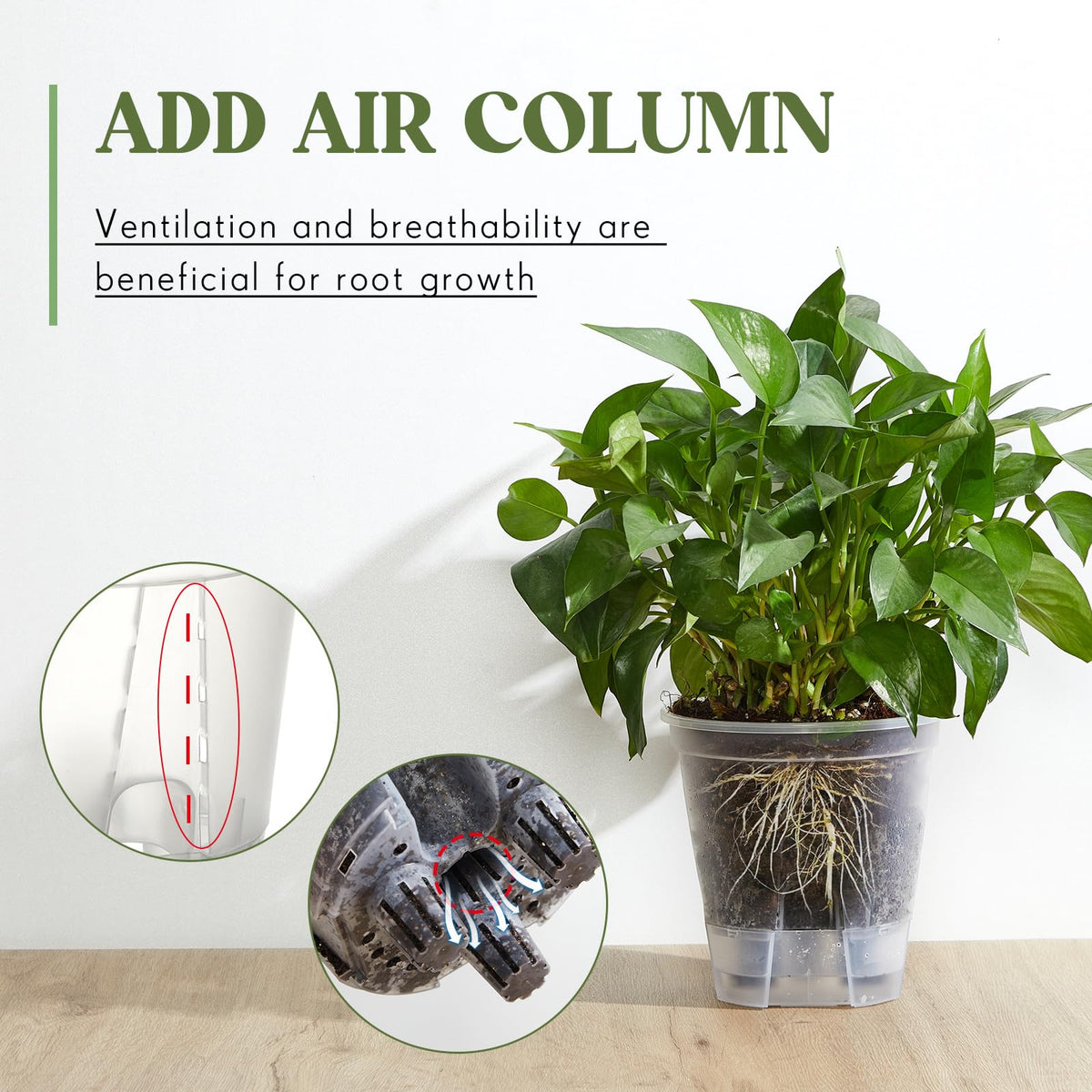Raised drainage holes in Wonderjune pot support healthy root air flow