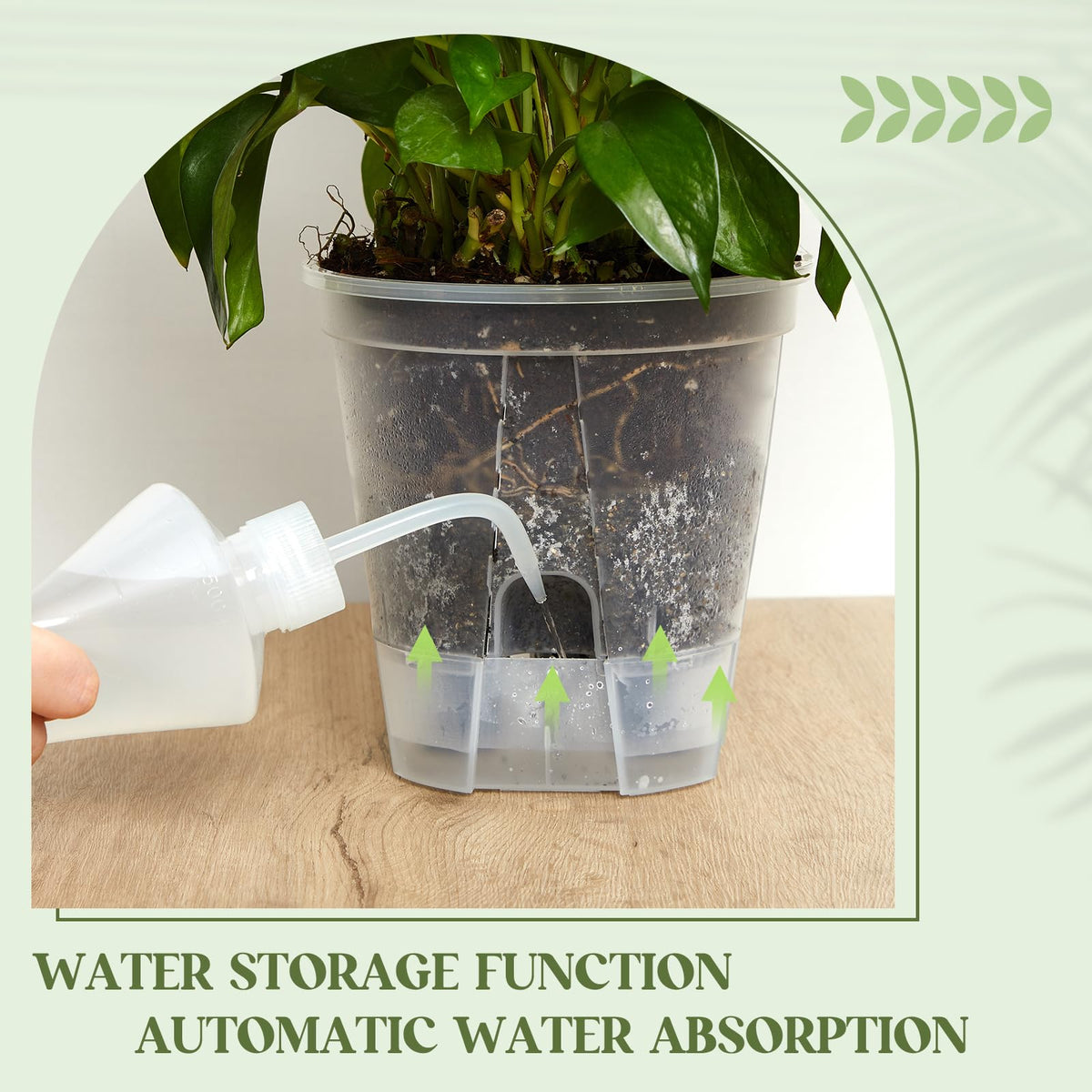 Wonderjune self-watering pot 7.09-inch with transparent walls to monitor growth