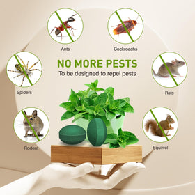 WonderMar pouches placed near entryways emit a mild aroma for indoors.