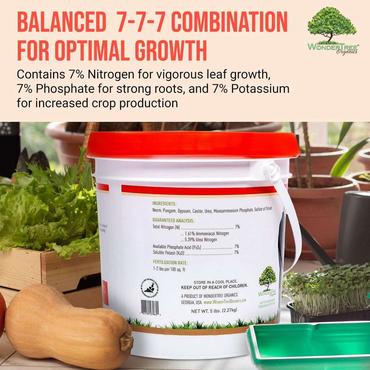 WonderTree Eden soil-drench application demonstrates a water-based nutrient mix