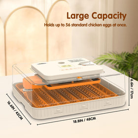 WONEGG dual vents highlight adjustable airflow for a stable environment