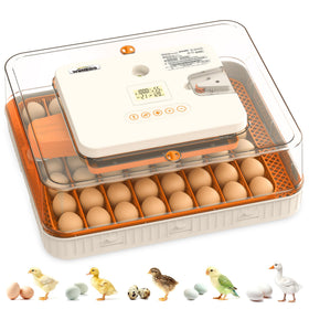 WONEGG 56-egg incubator front view showing compact design and stable temperature control benefits
