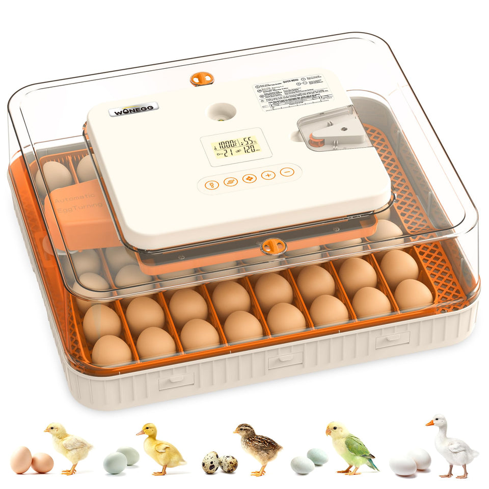 WONEGG 56-egg incubator front view showing compact design and stable temperature control benefits