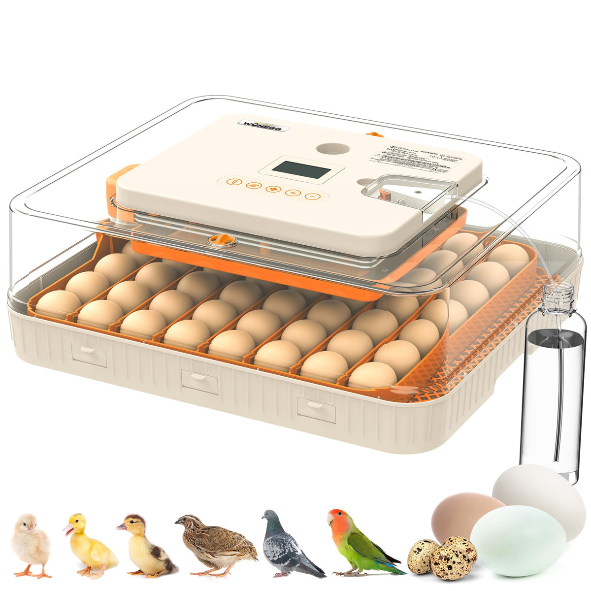 WONEGG 56-egg incubator interior view for organized hatch prep and steady warmth.