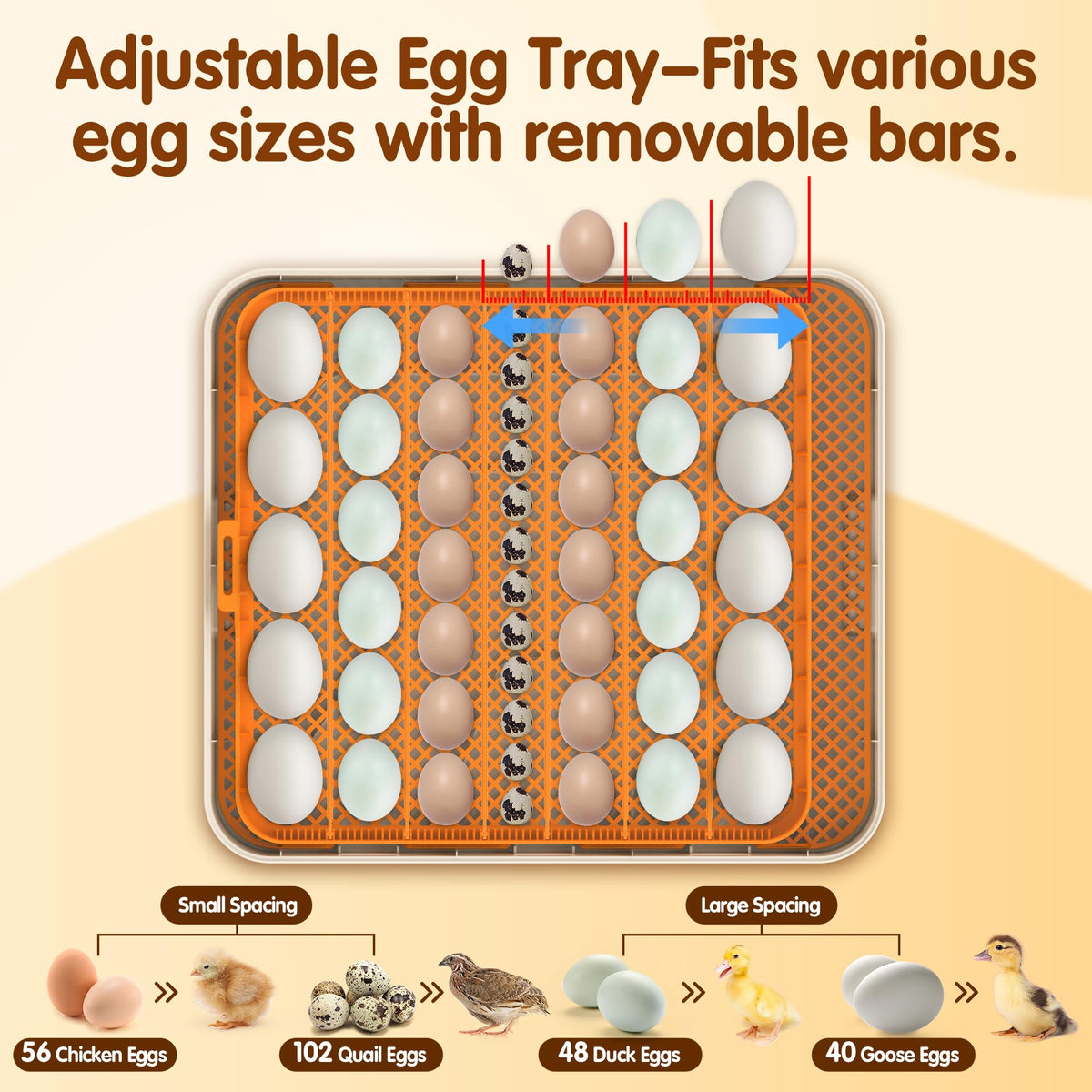 WONEGG LED candling light provides safe embryo monitoring through a cool LED
