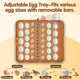 WONEGG adjustable airflow with double vents stabilizes temperature and humidity.