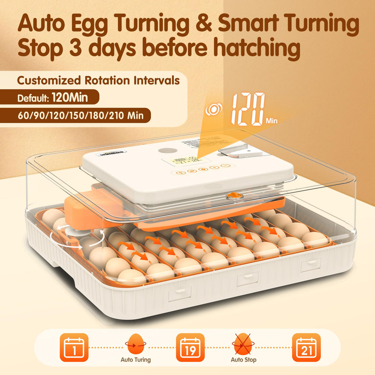 WONEGG auto turning indicator shows gentle rotation during incubation.