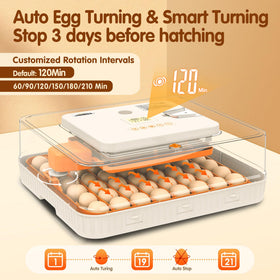 WONEGG auto turning indicator shows gentle rotation during incubation.