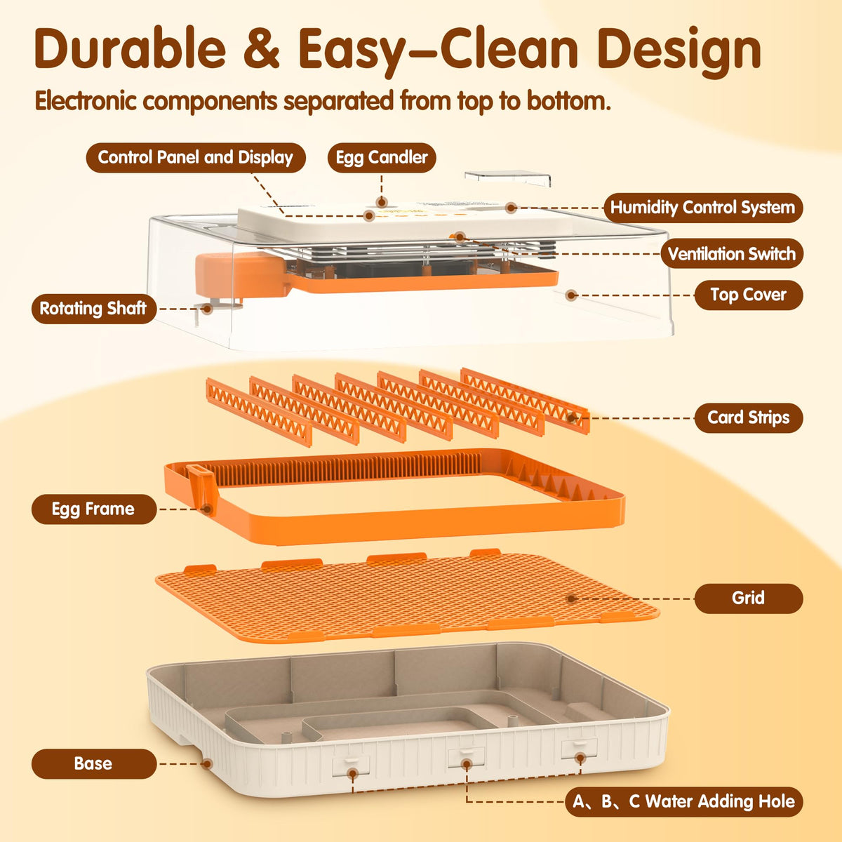 WONEGG clear 360° lid offers full visibility during incubation.