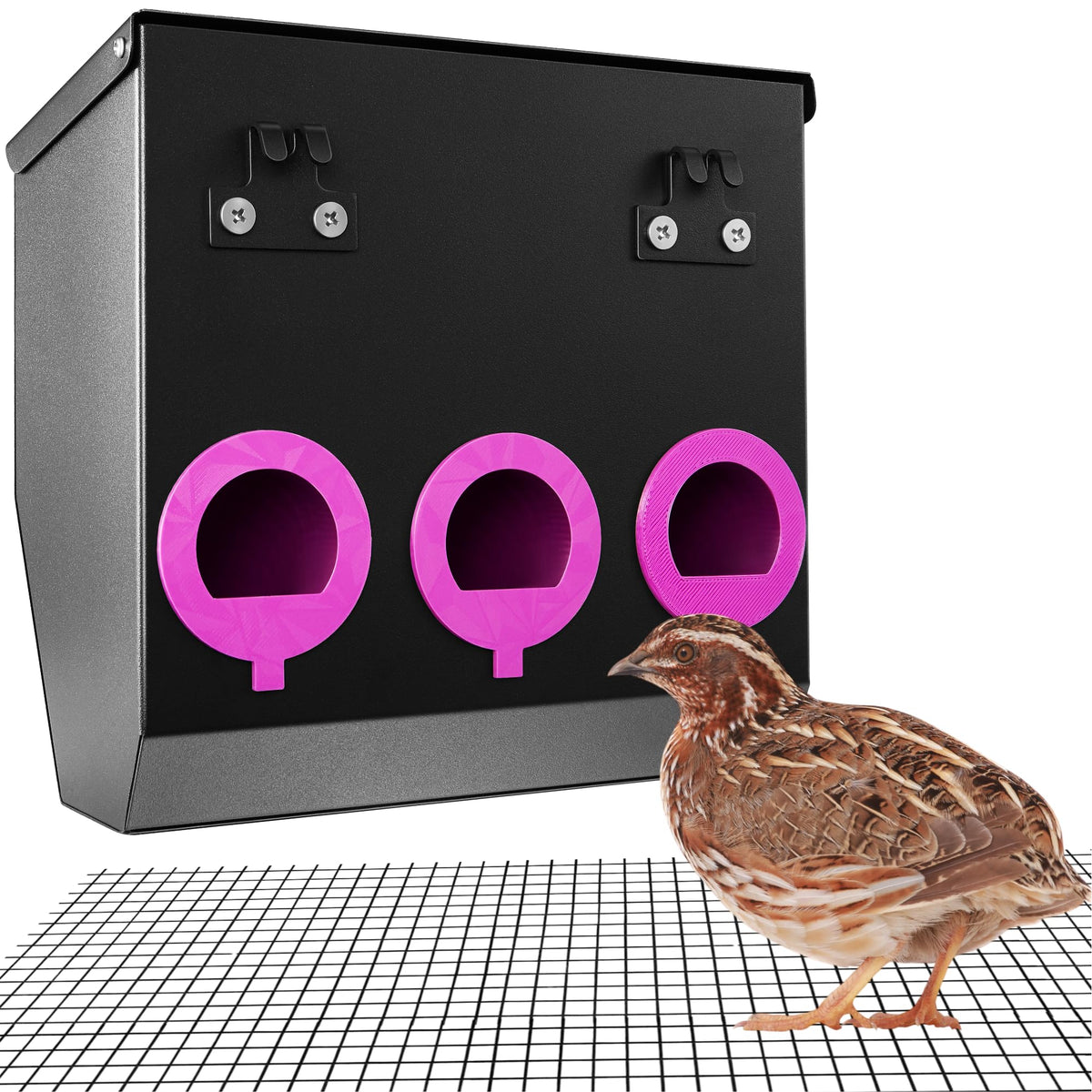 Woobud CluckRoots outside-hanging 3-port feeder in action, keeps feed off the floor.